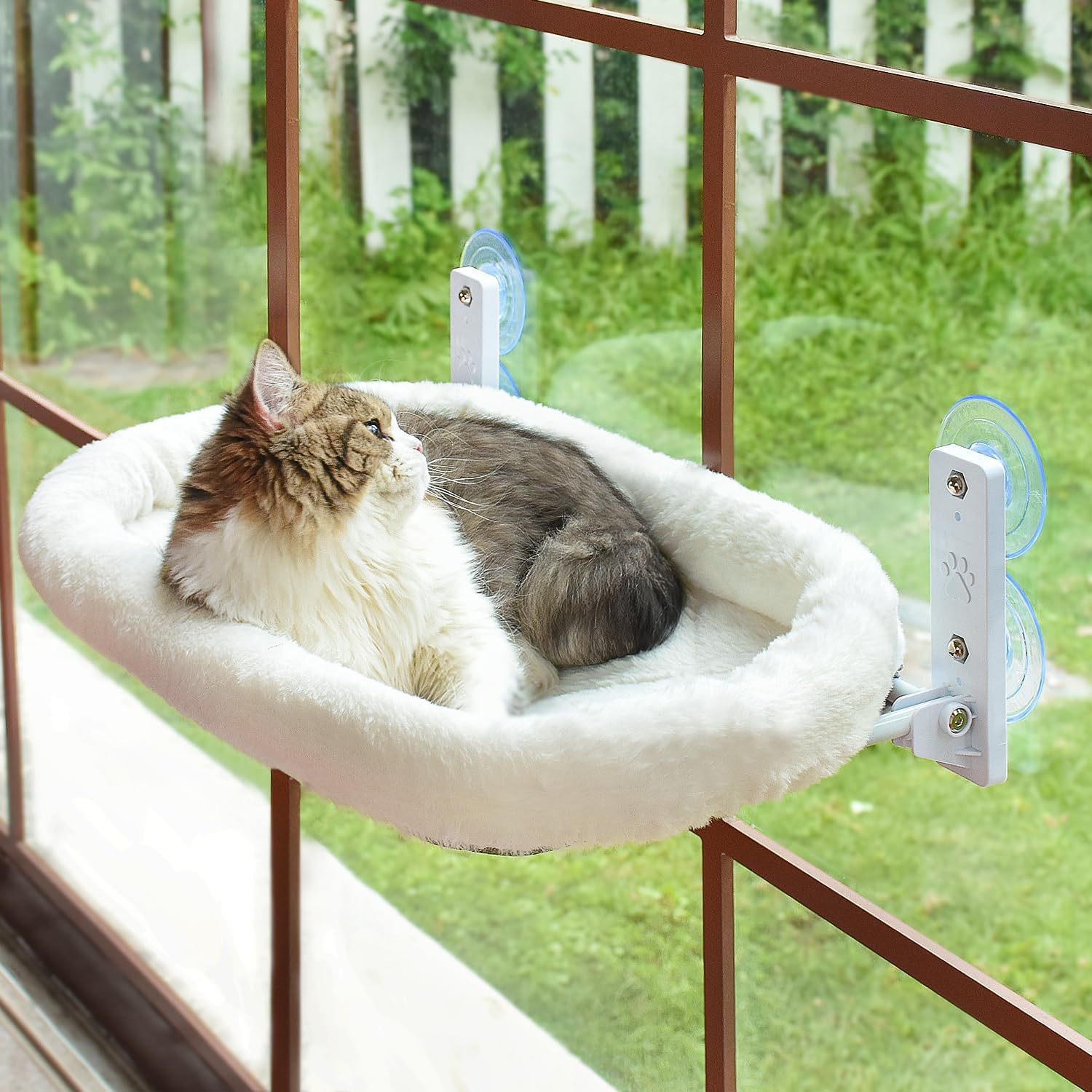 Cat Window Perch - Amaca da finestra per gatti con