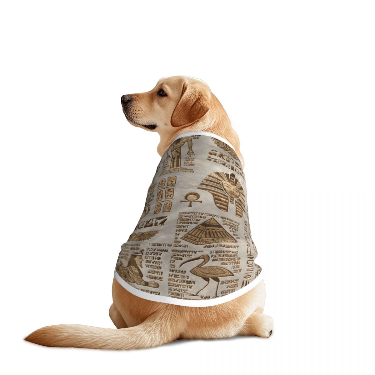 Pet Supplies Egypt - Geroglifici egiziani e divinità Gilet per