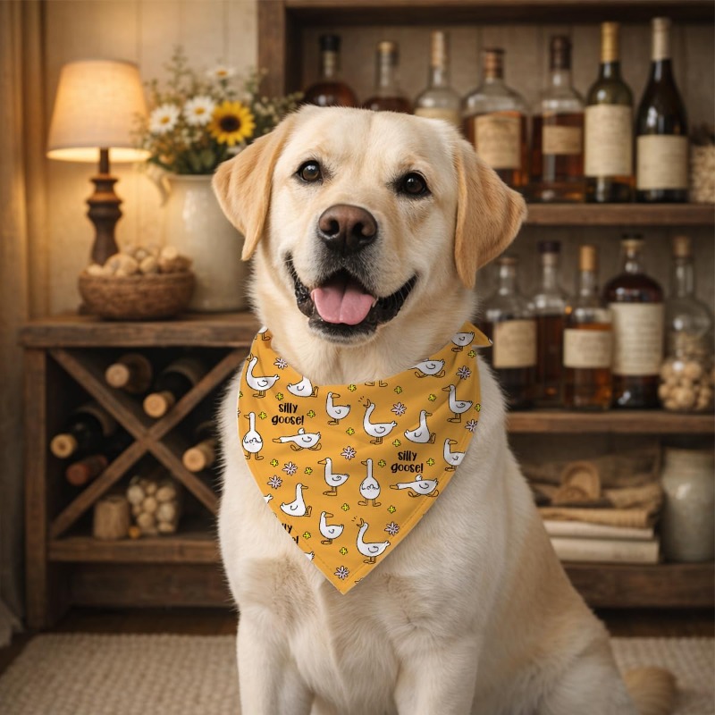 Dog Bandana Scarf - Bandana per cani con un simpatico