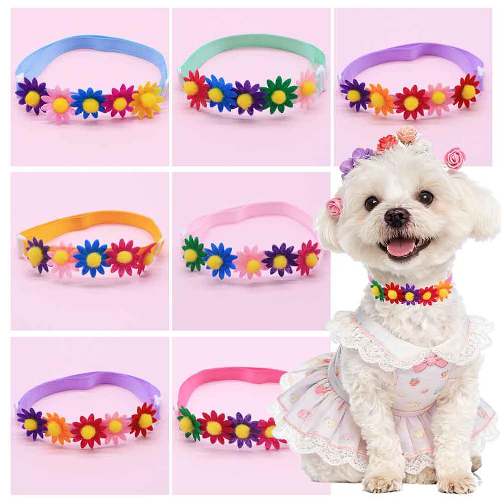 50 Pezzi Fiocchi Colorati per  - Pet Supplies Co recensione e prezzo