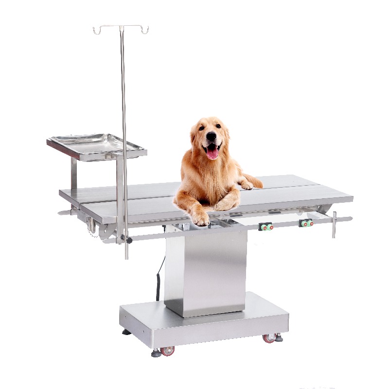 Tavolo da Visita Veterinaria 2 - Pet Supplies Vet Clinic recensione e prezzo