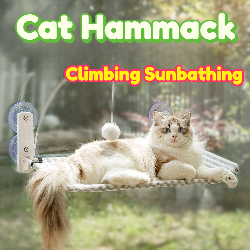 Amaca per gatti da appendere a - Cat Window Perch recensione e prezzo