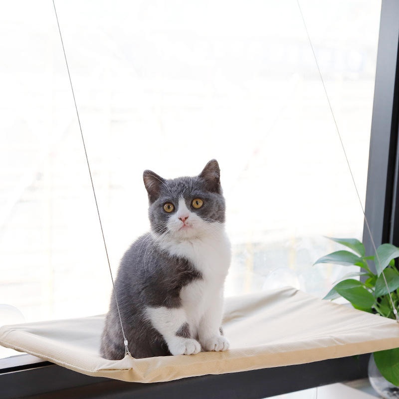 Amaca per Gatti da Finestra co - Cat Window Perch recensione e prezzo