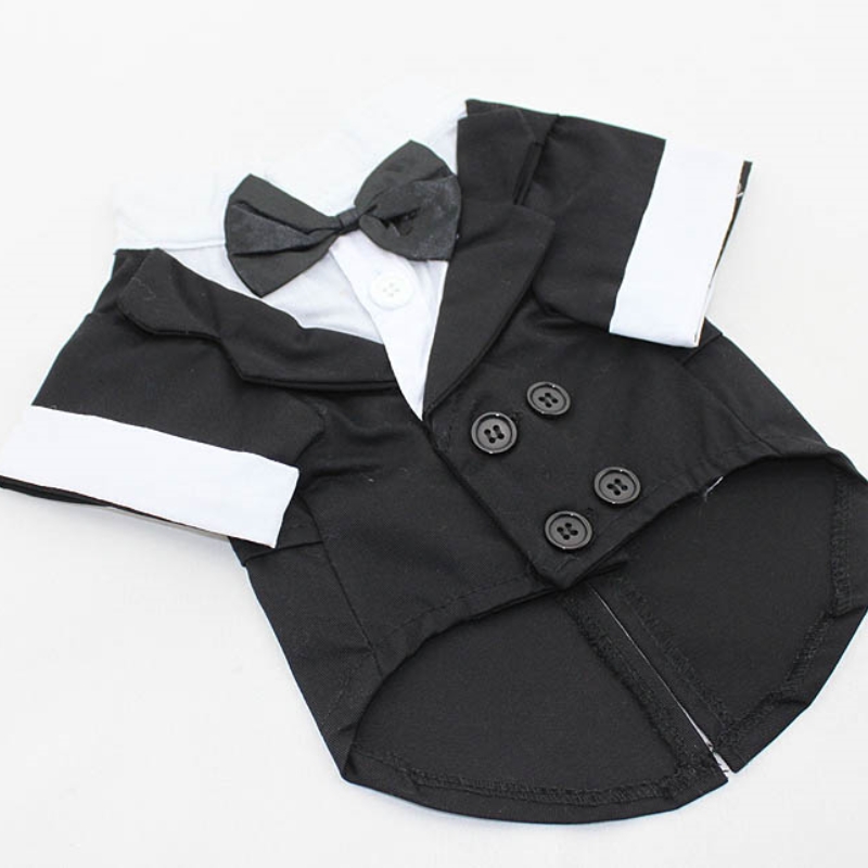 Camicia per cani Vestiti per c - Pet Supplies Co recensione e prezzo