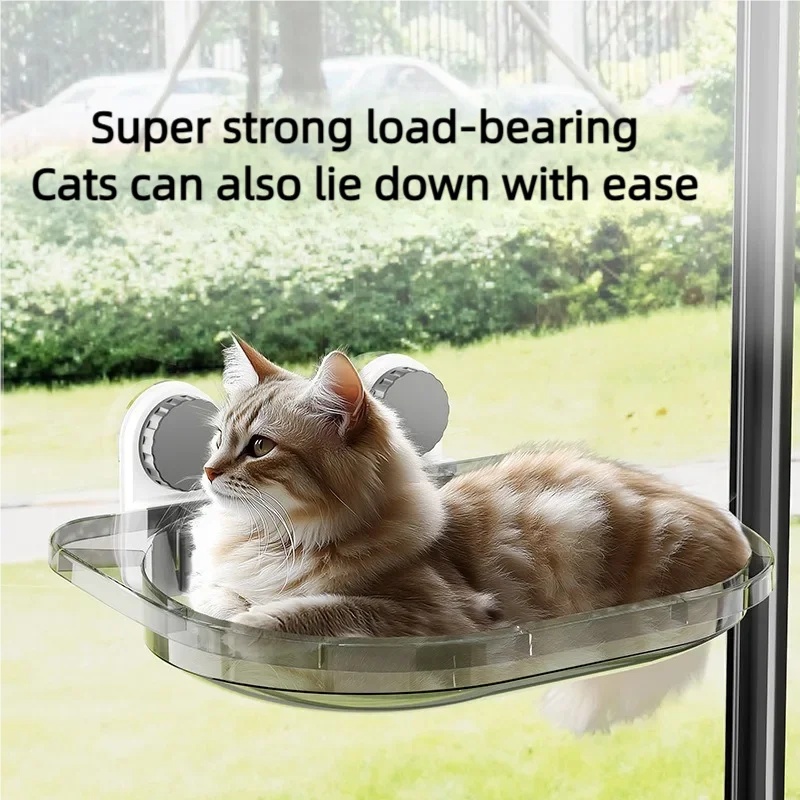 Nuova Amaca Sospesa per Gatti, - Cat Window Perch recensione e prezzo