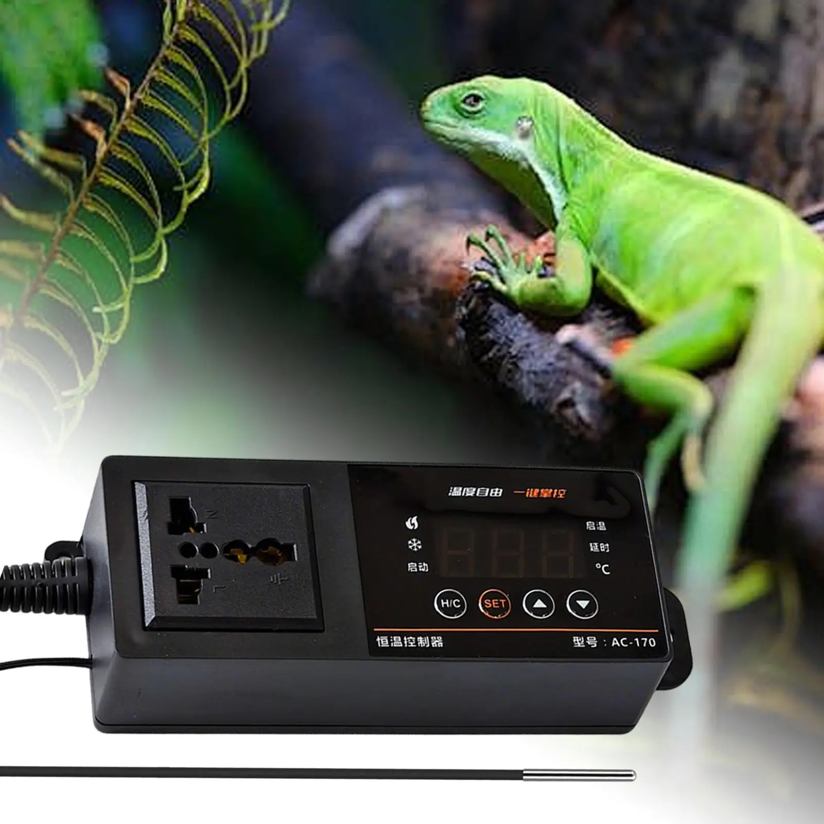 Termostato per terrario rettil - Pet Supplies In Uk recensione e prezzo