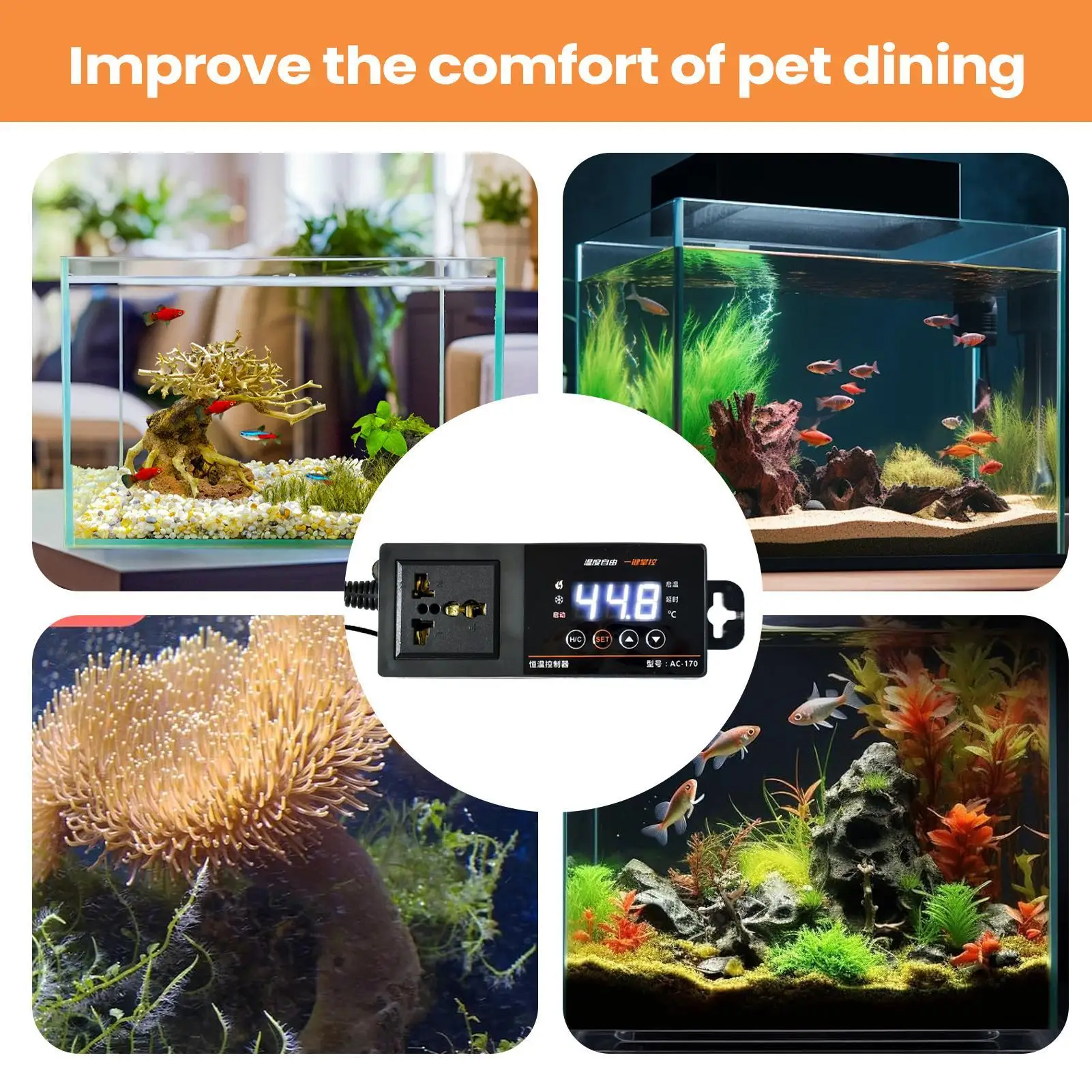 Termostato per terrario rettil - Pet Supplies In Uk recensione e prezzo