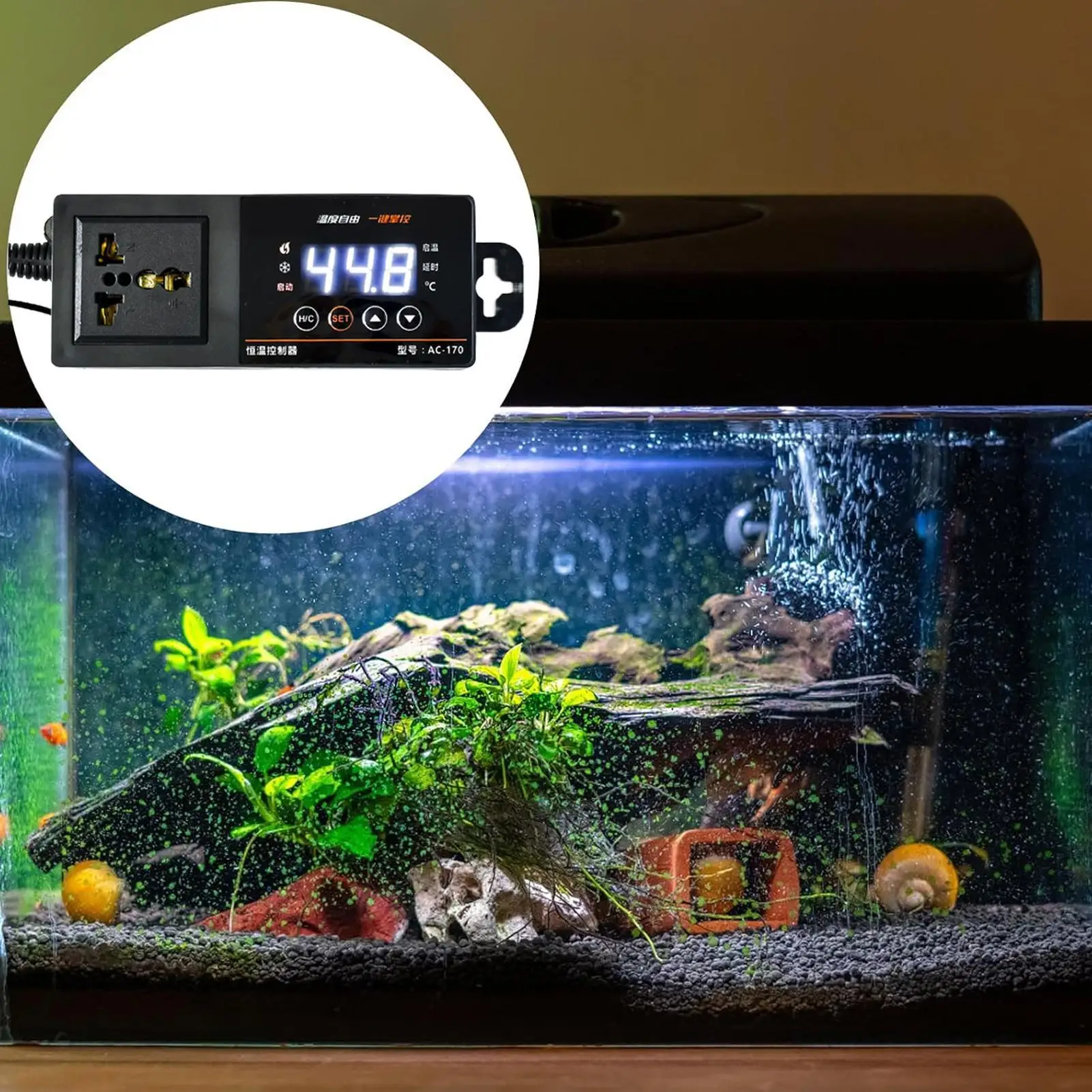 Termostato per terrario rettil - Pet Supplies In Uk recensione e prezzo