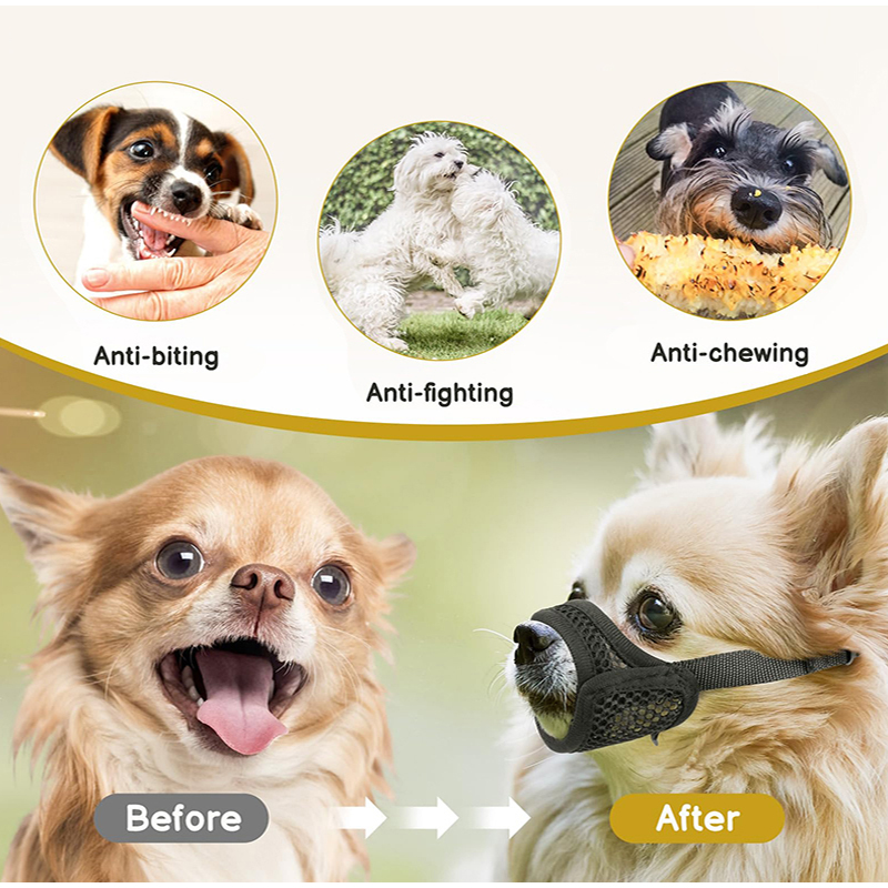 Museruola in rete anti-morso p - Pet Supplies Co recensione e prezzo