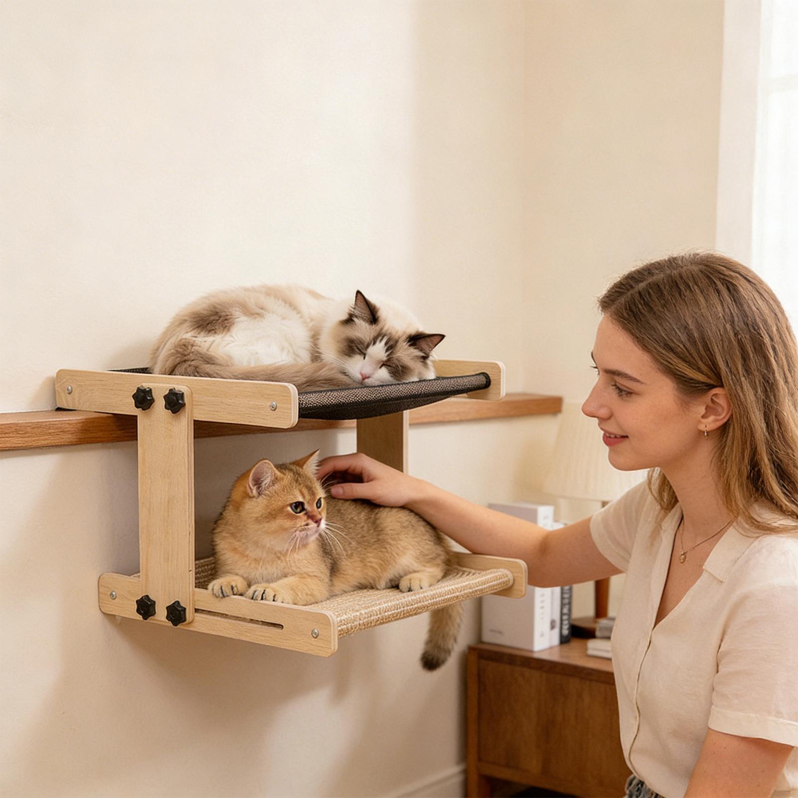 Cuccia per gatti da finestra,  - Cat Window Perch recensione e prezzo