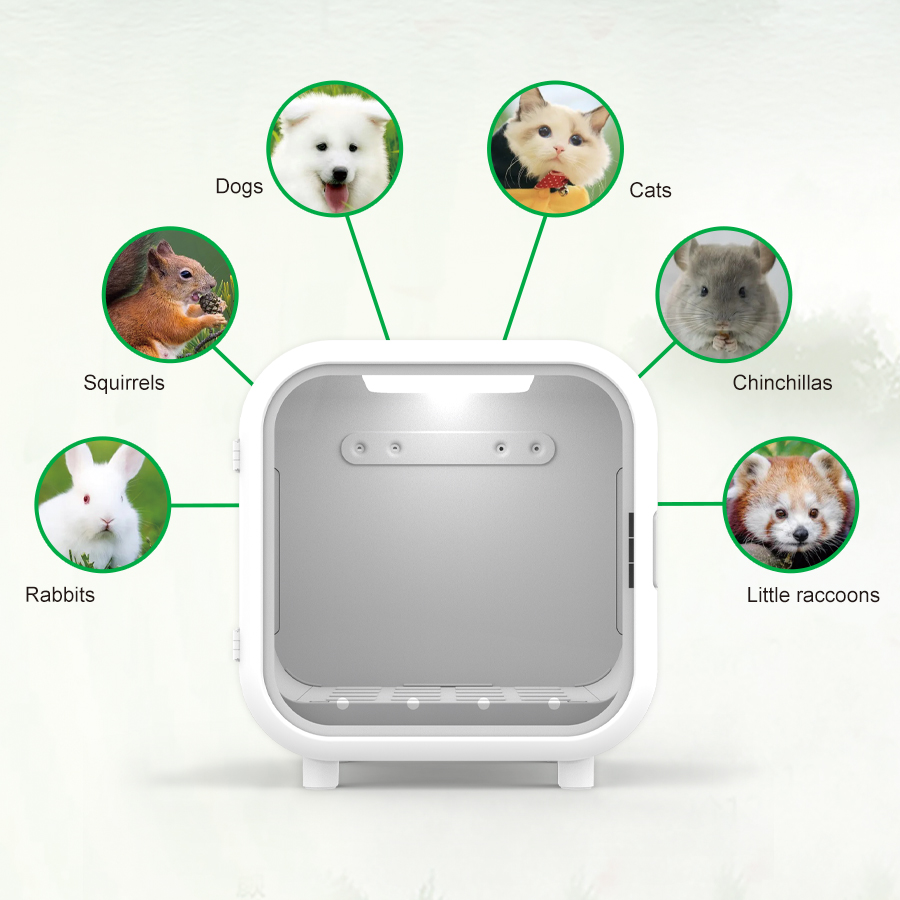 Barra di Ossigeno JW Vet Clini - Pet Supplies Vet Clinic recensione e prezzo