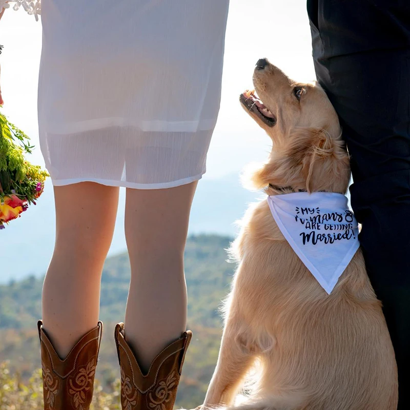 I miei umani si sposano cane B - Dog Bandana Scarf recensione e prezzo