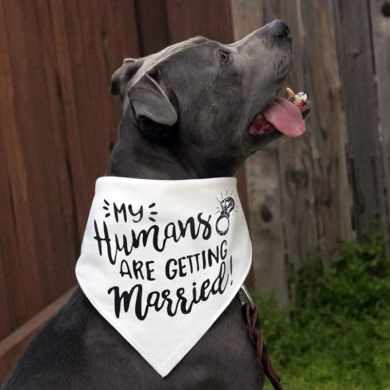 I miei umani si sposano cane B - Dog Bandana Scarf recensione e prezzo