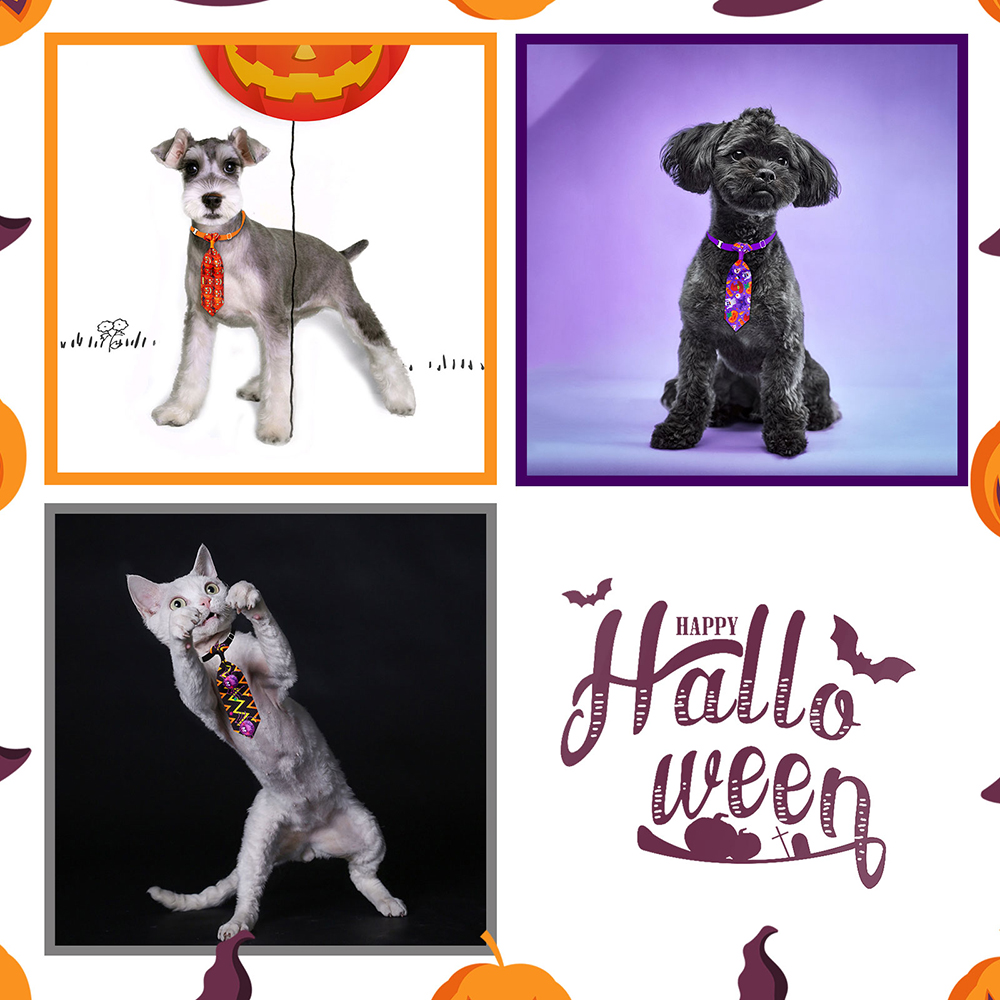 50/100pcs Halloween Accessori  - Pet Supplies Co recensione e prezzo