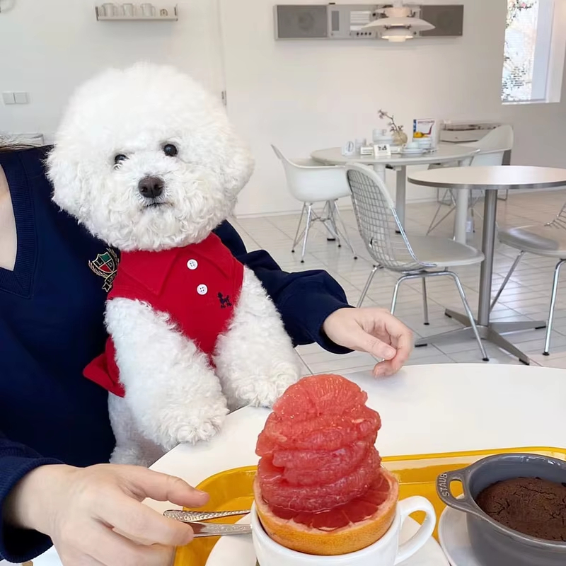 Nuova Maglietta Polo per Cani, - Pet Supplies Co recensione e prezzo