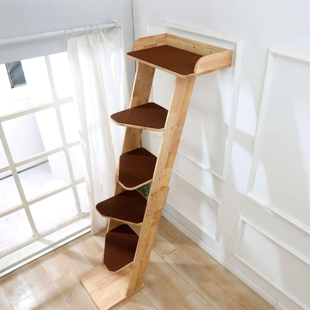 SHENGOCASE ern Albero per Gatt - Cat Window Perch recensione e prezzo