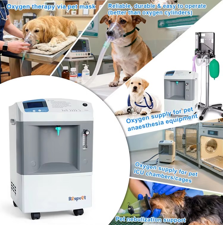 Dispositivo di Fornitura di Os - Pet Supplies Vet Clinic recensione e prezzo