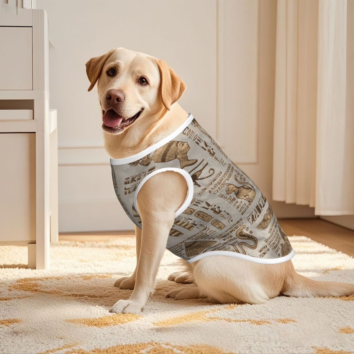 Geroglifici egiziani e divinit - Pet Supplies Egypt recensione e prezzo