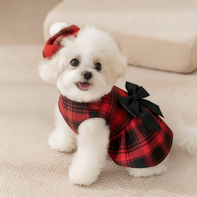 Abbigliamento per Cani, Camici - Pet Supplies Co recensione e prezzo