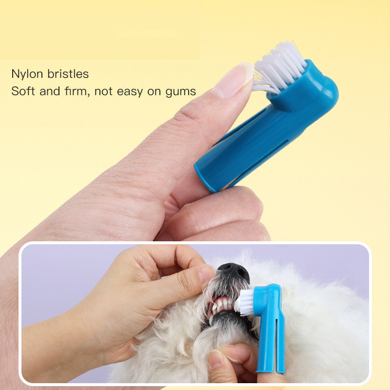 Spazzolino da denti morbido pe - Pet Supplies Co recensione e prezzo