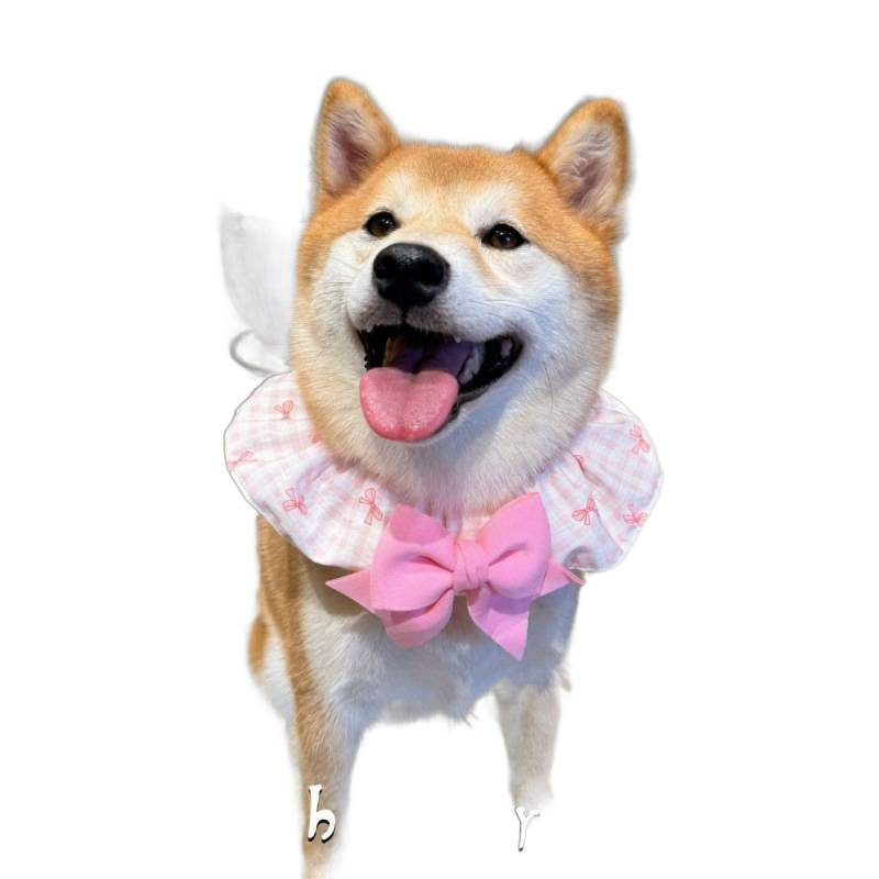 Bandana, Sciarpa e Papillon pe - Dog Bandana Scarf recensione e prezzo