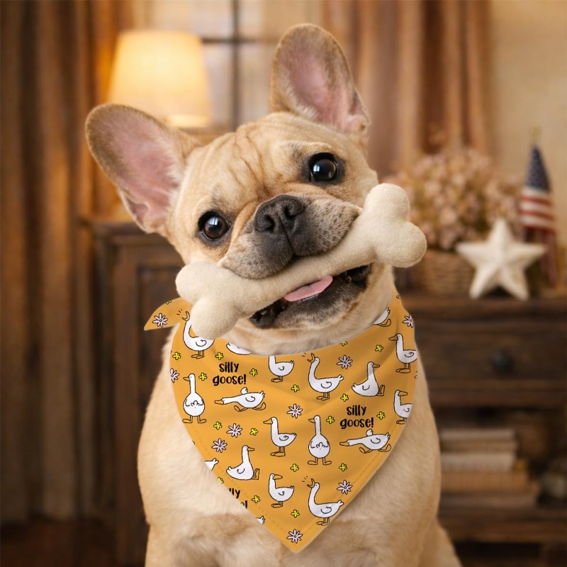 Bandana per cani con un simpat - Dog Bandana Scarf recensione e prezzo