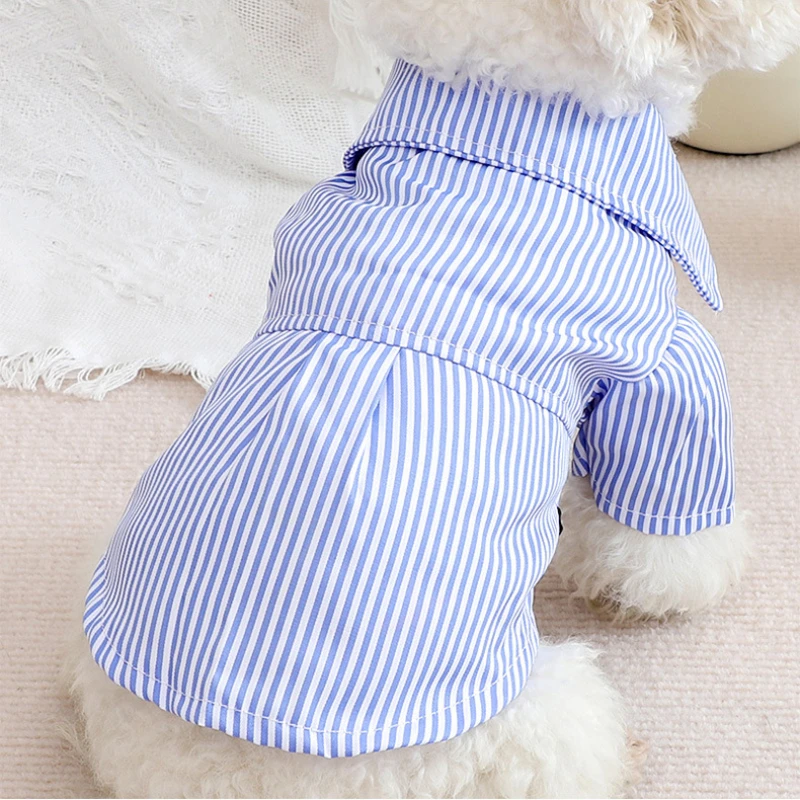 Vestiti per cani da compagnia  - Pet Supplies Co recensione e prezzo