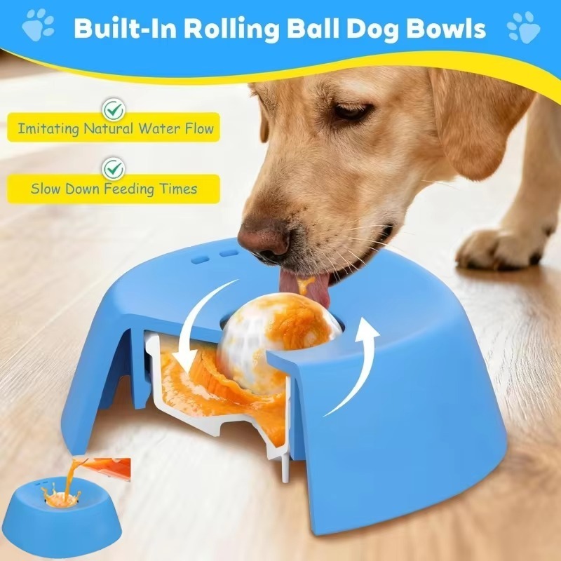 Ciotola per cani da 1 pezzo co - Pet Supplies Co recensione e prezzo