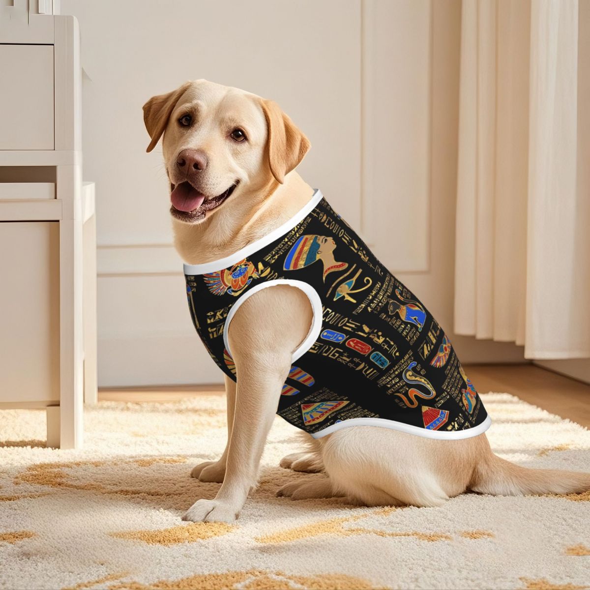 Geroglifici egiziani e divinit - Pet Supplies Egypt recensione e prezzo