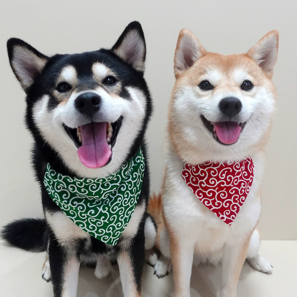 Accessori per cani NUOVO Colla - Dog Bandana Scarf recensione e prezzo