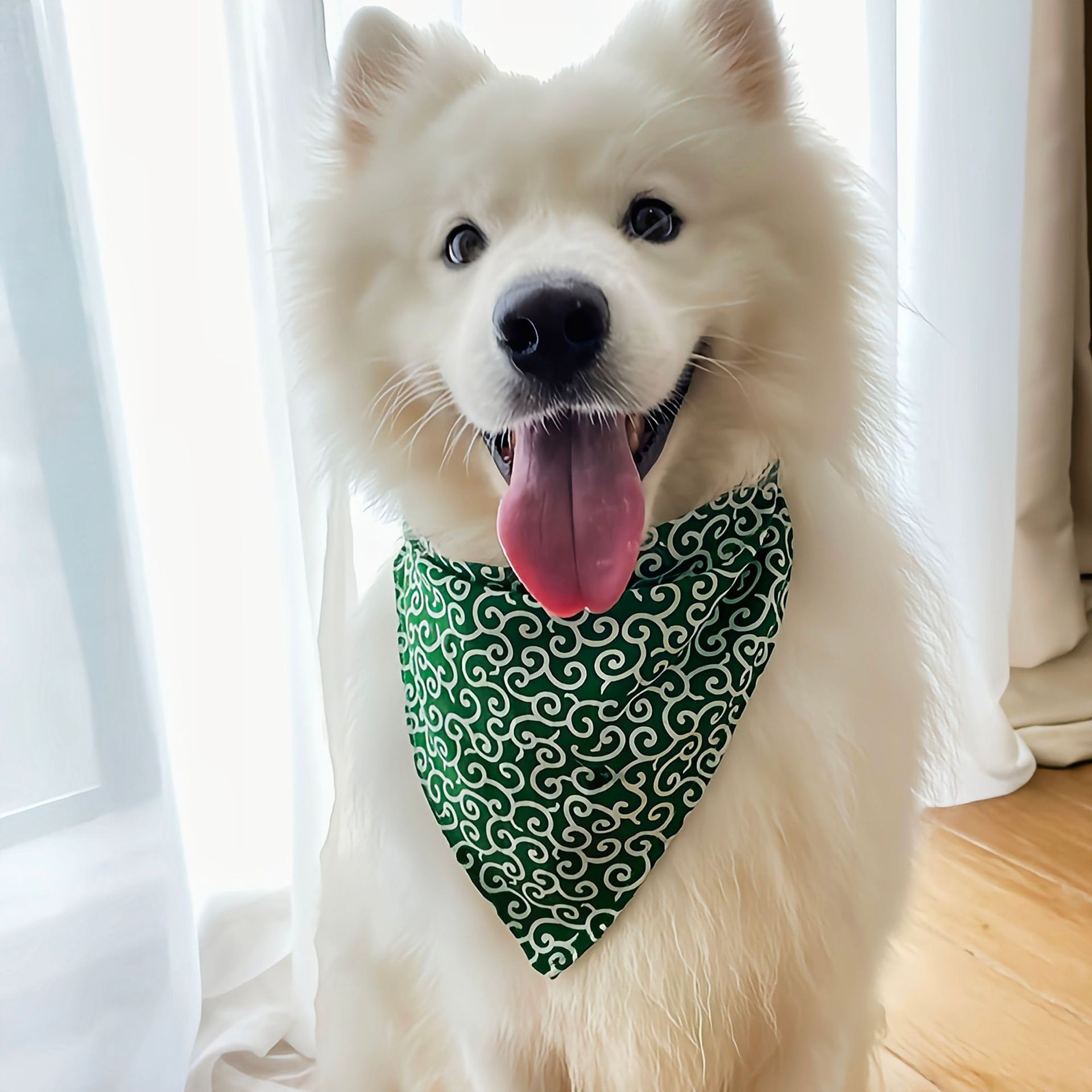 Accessori per cani NUOVO Colla - Dog Bandana Scarf recensione e prezzo