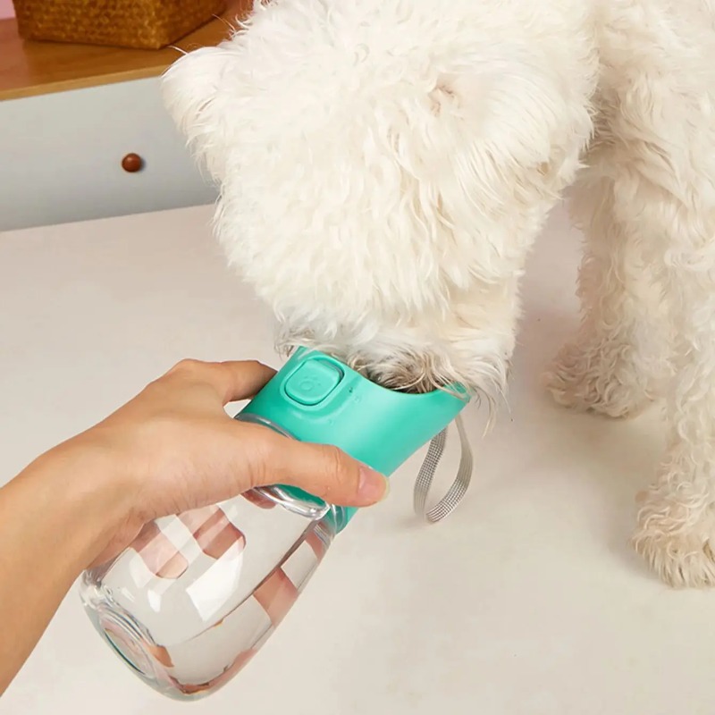 Bottiglia d'Acqua Portatile pe - Pet Supplies Co recensione e prezzo